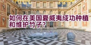 “如何在美国夏威夷成功种植和维护竹子？”