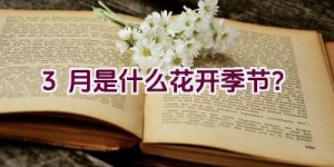 3月是什么花开季节？