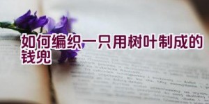 如何编织一只用树叶制成的钱兜