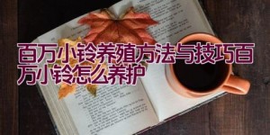 百万小铃养殖方法与技巧（百万小铃怎么养护）