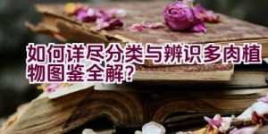 如何详尽分类与辨识多肉植物图鉴全解？