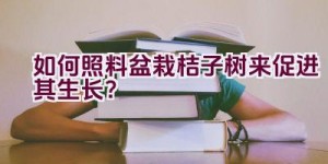 如何照料盆栽桔子树来促进其生长？