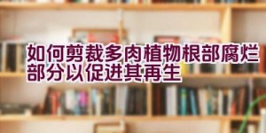 如何剪裁多肉植物根部腐烂部分以促进其再生