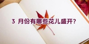 3月份有哪些花儿盛开？