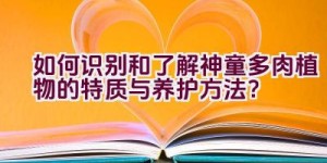 如何识别和了解神童多肉植物的特质与养护方法？