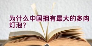 为什么中国拥有最大的多肉灯泡？