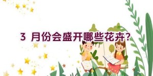 3月份会盛开哪些花卉？