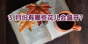 3月份有哪些花儿会盛开？