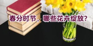 春分时节，哪些花卉绽放？