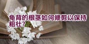 龟背的根茎如何修剪以保持粗壮？