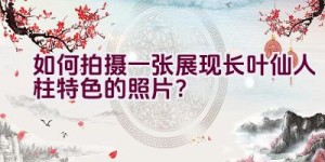 如何拍摄一张展现长叶仙人柱特色的照片？