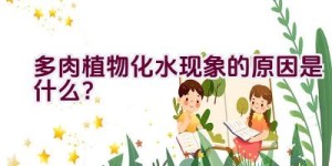 多肉植物化水现象的原因是什么？