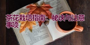 茶花栽培指南：秘诀与注意事项