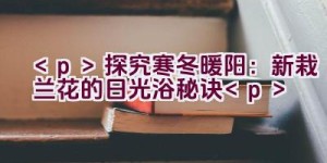 探究寒冬暖阳：新栽兰花的日光浴秘诀