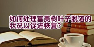 如何处理富贵树叶子脱落的状况以促进恢复？