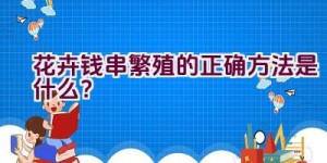 花卉钱串繁殖的正确方法是什么？