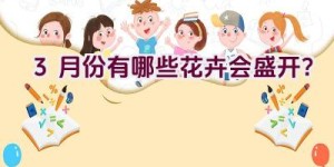 3月份有哪些花卉会盛开？