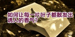 如何让每一片叶子都散发出诱人的香气？