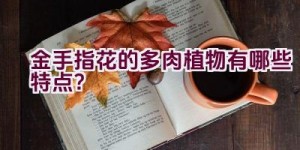 金手指花的多肉植物有哪些特点？