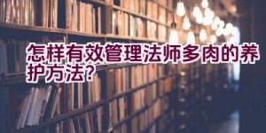 怎样有效管理法师多肉的养护方法？