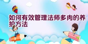 如何有效管理法师多肉的养护方法