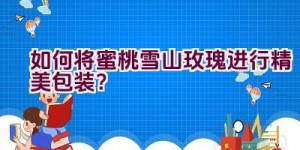 如何将蜜桃雪山玫瑰进行精美包装？