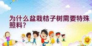 为什么盆栽桔子树需要特殊照料？