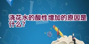 浇花水的酸性增加的原因是什么？