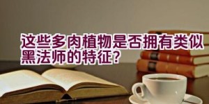 “这些多肉植物是否拥有类似黑法师的特征？”