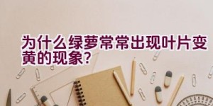 为什么绿萝常常出现叶片变黄的现象？