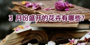 3月份盛开的花卉有哪些？