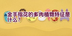 “金手指花的多肉植物特征是什么？”