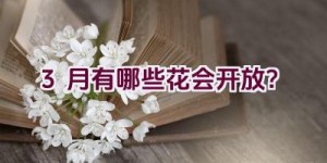 3月有哪些花会开放？