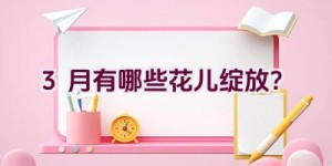 3月有哪些花儿绽放？