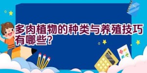 “多肉植物的种类与养殖技巧有哪些？”