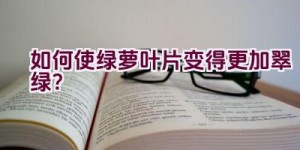 如何使绿萝叶片变得更加翠绿？