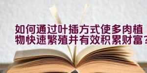 如何通过叶插方式使多肉植物快速繁殖并有效积累财富？