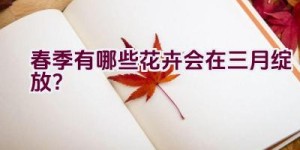 春季有哪些花卉会在三月绽放？