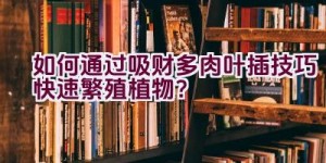 如何通过吸财多肉叶插技巧快速繁殖植物？