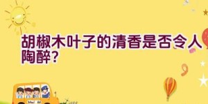 胡椒木叶子的清香是否令人陶醉？