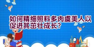 如何精细照料多肉虞美人以促进其茁壮成长？