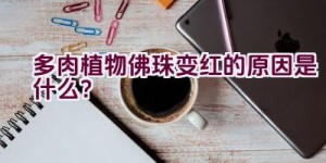 多肉植物佛珠变红的原因是什么？