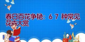 春日百花争艳：67种常见花卉大赏