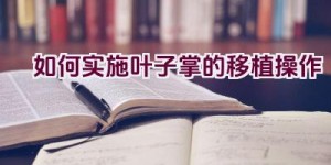 如何实施叶子掌的移植操作