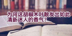 为何这胡椒木叶散发出如此清新迷人的香气？