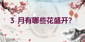 3月有哪些花盛开？