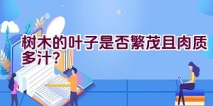 树木的叶子是否繁茂且肉质多汁？