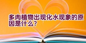 多肉植物出现化水现象的原因是什么？