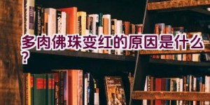 多肉佛珠变红的原因是什么？