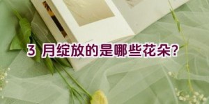 3月绽放的是哪些花朵？